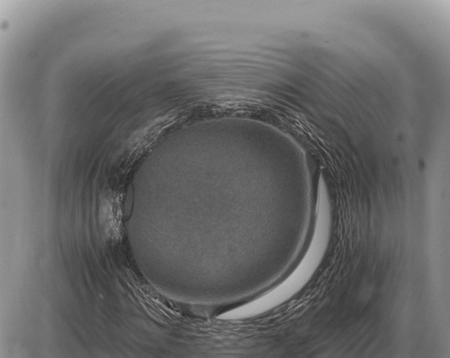 X0000087560868200705041350