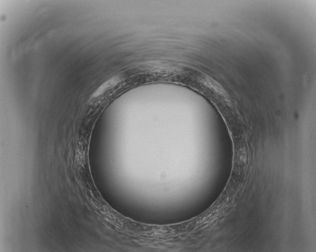 X0000087560869200705041350