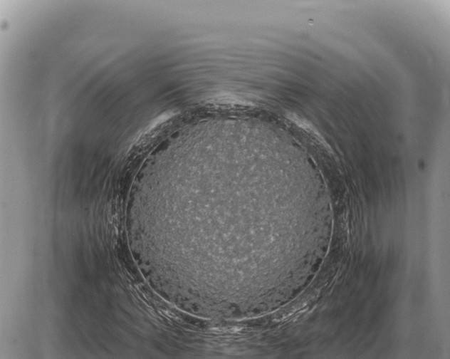 X0000087560870200705041350