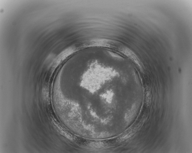 X0000087560882200705041350