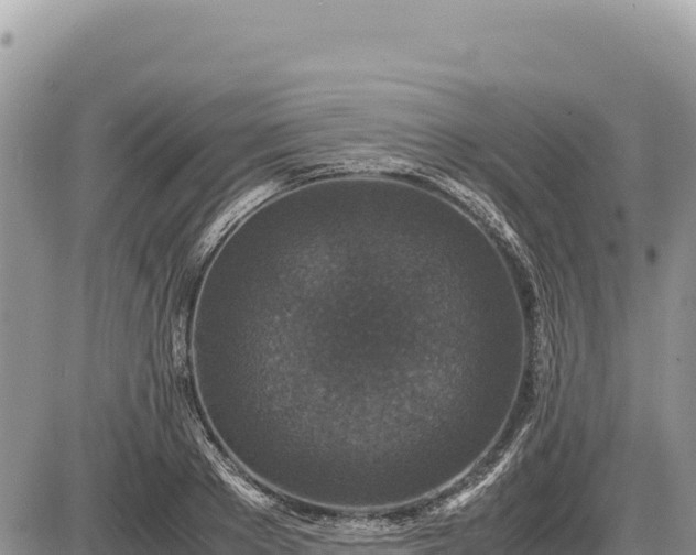 X0000087560889200705041350