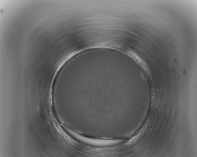X0000087560892200705041350