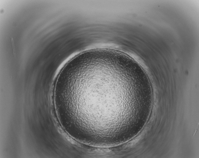 X0000087560912200705041350