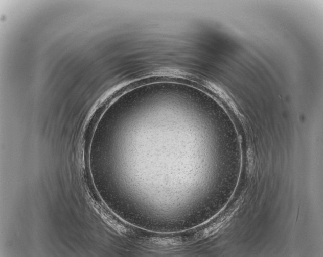 X0000087560931200705041349