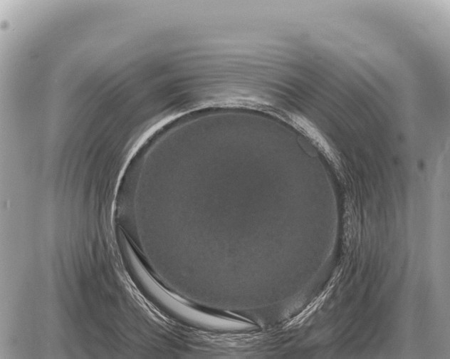 X0000087560932200705041349