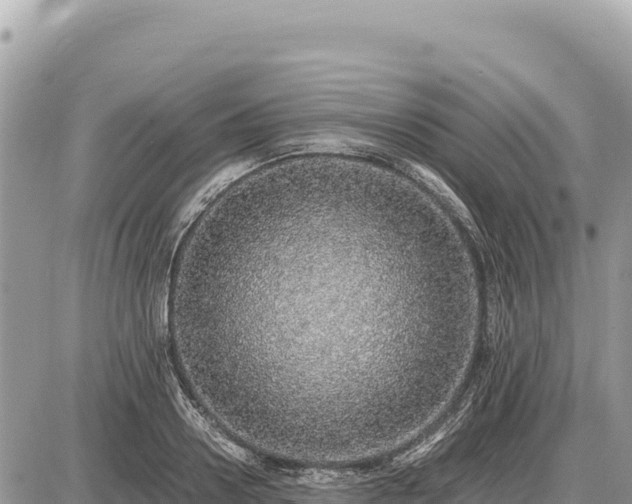 X0000087560938200705041349