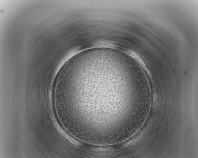 X0000087560947200705041349