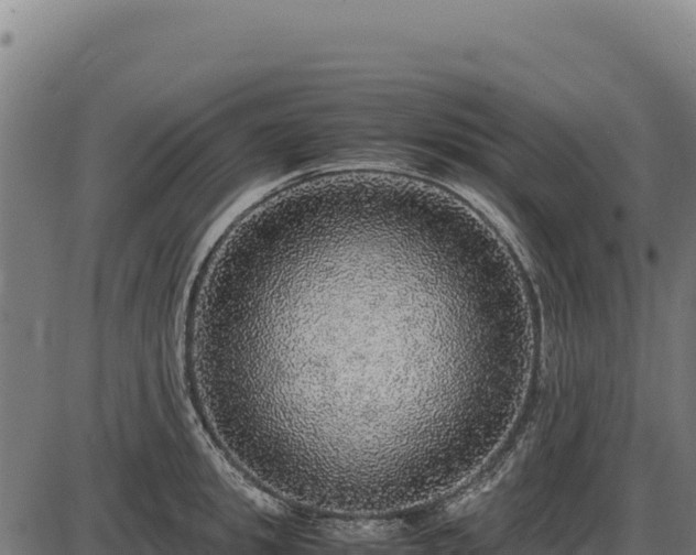 X0000087560949200705041349