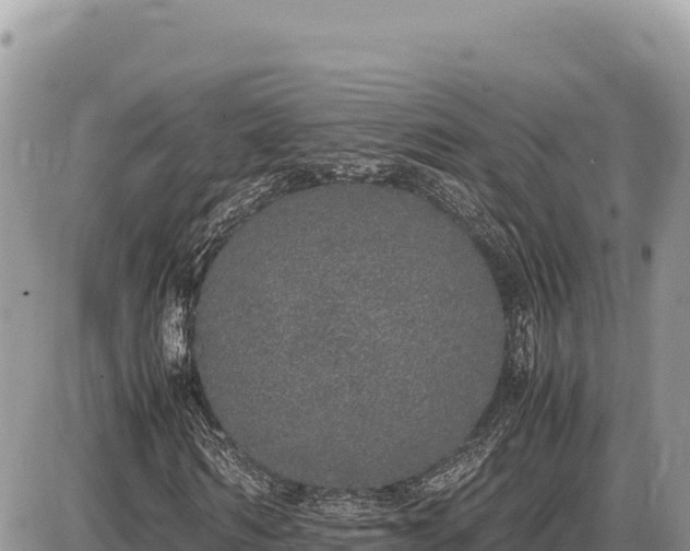 X0000087560962200705041349