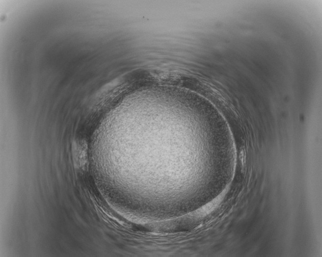 X0000087560963200705041349