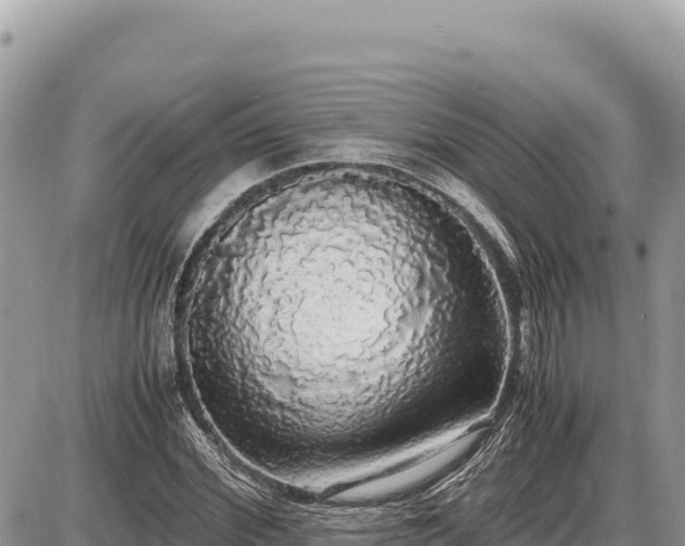 X0000087560972200705041349