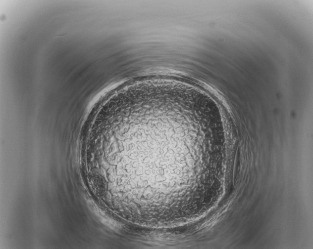 X0000087560987200705041348