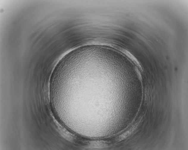 X0000087560988200705041348