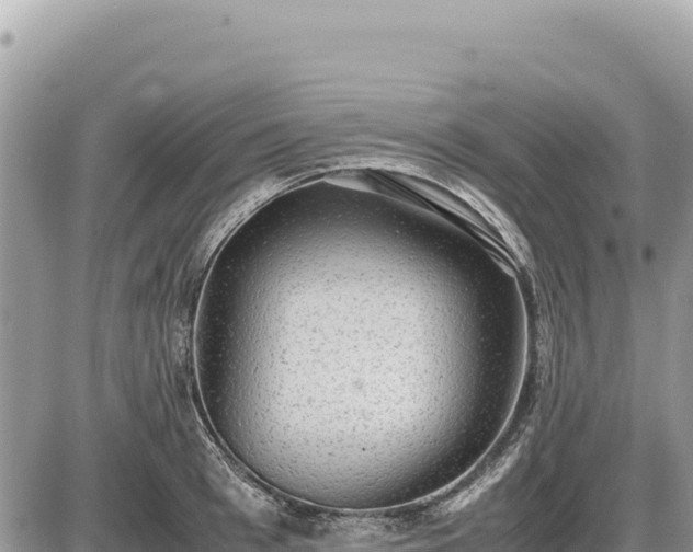 X0000087560993200705041348