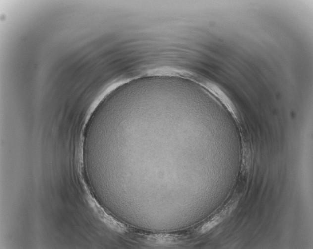 X0000087561000200705041348