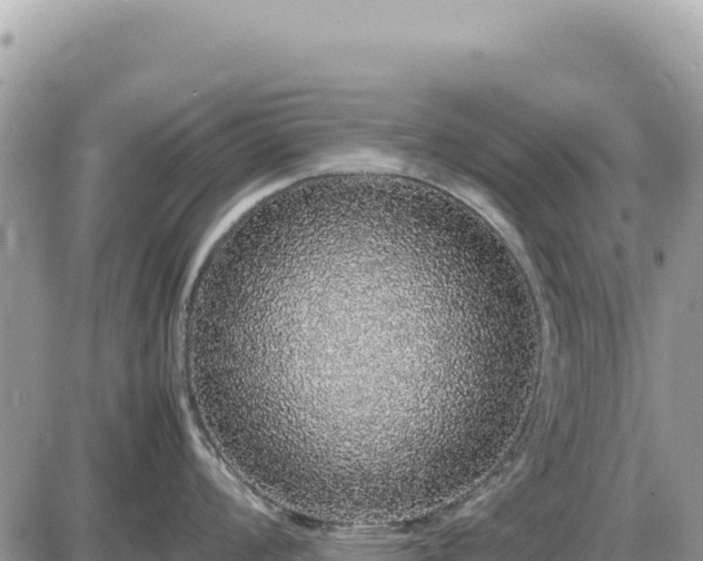 X0000087561008200705041348