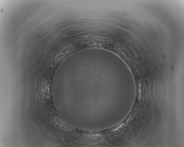 X0000087561013200705041347