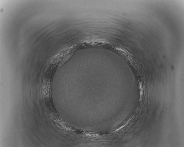 X0000087561014200705041347