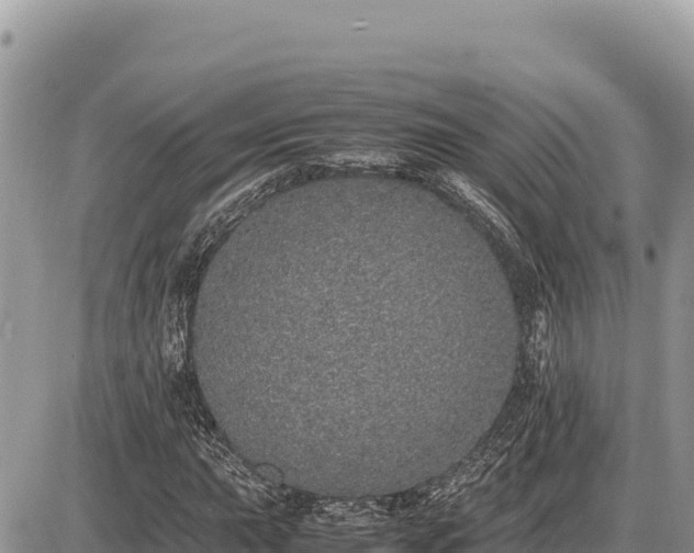 X0000087561015200705041347
