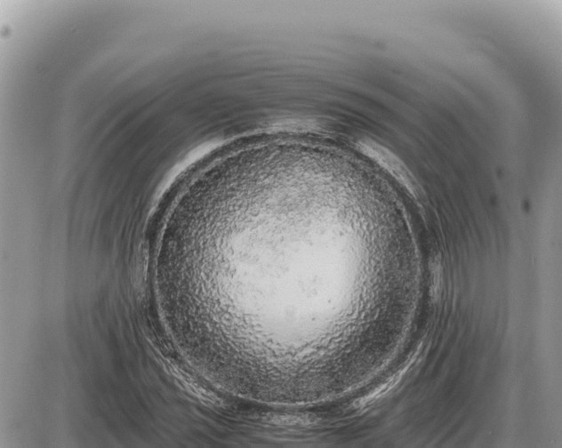 X0000087561021200705041347