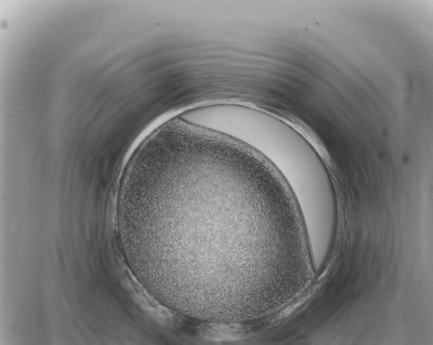X0000087561052200705041348