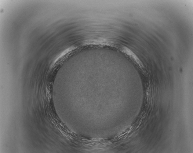 X0000087561064200705041347