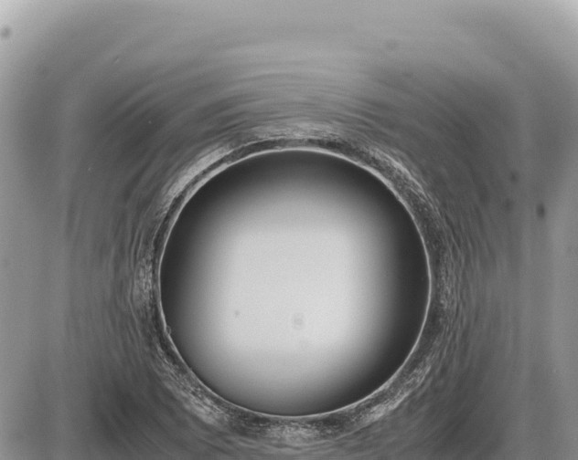 X0000087561073200705041347