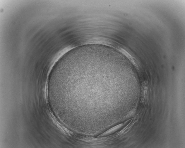 X0000087561076200705041347