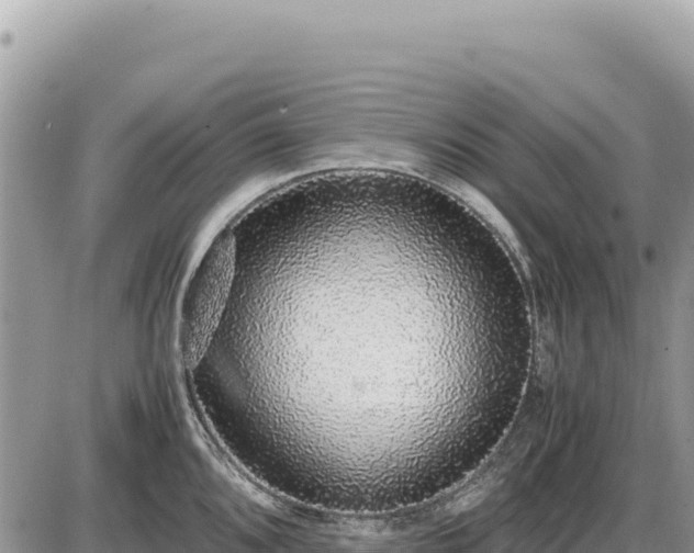 X0000087561096200705041347