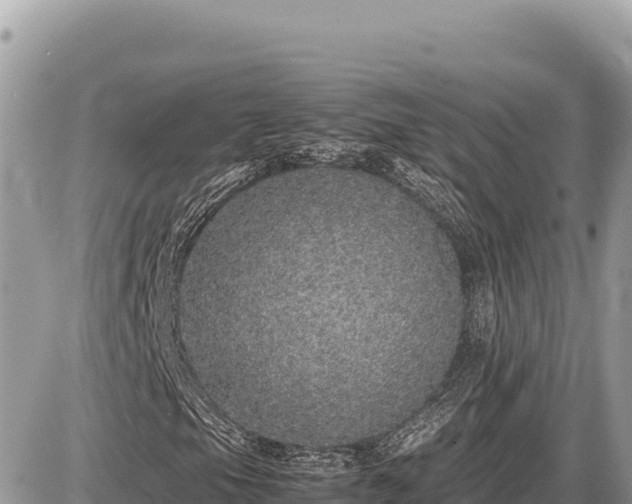 X0000087561105200705041346