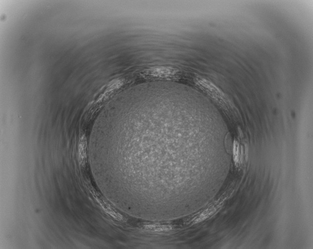 X0000087561107200705041346