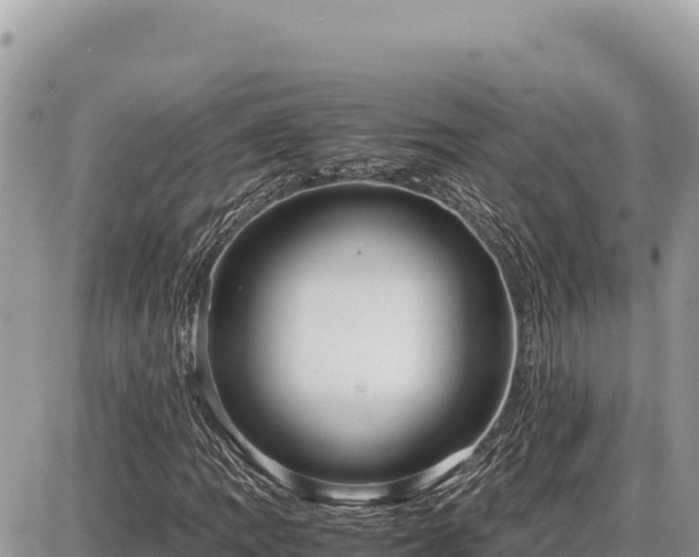 X0000087561109200705041346