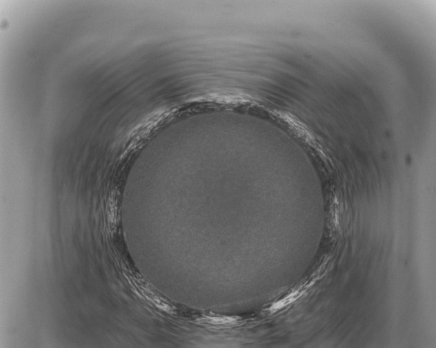 X0000087561110200705041346