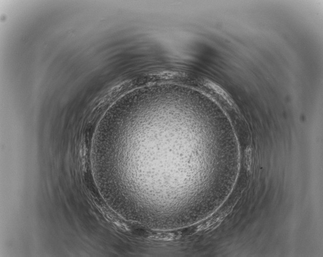 X0000087561111200705041346