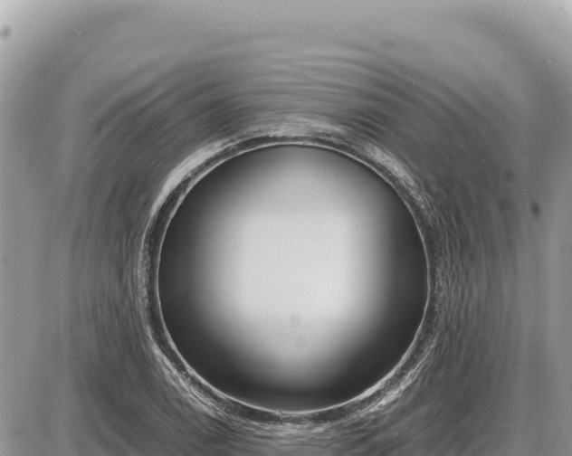 X0000087561122200705041346