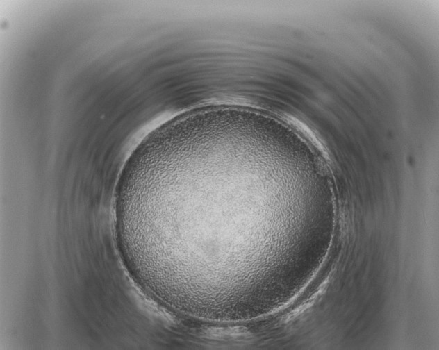 X0000087561133200705041346