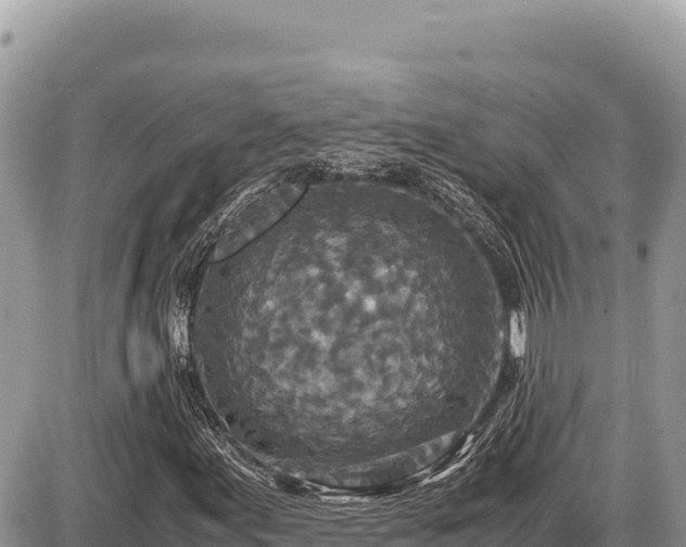 X0000087561155200705041346
