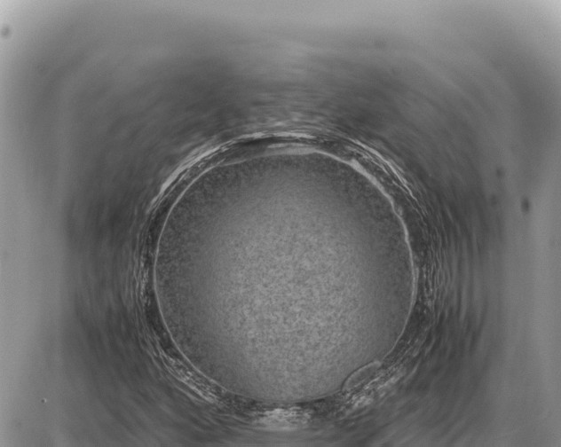 X0000087561160200705041346