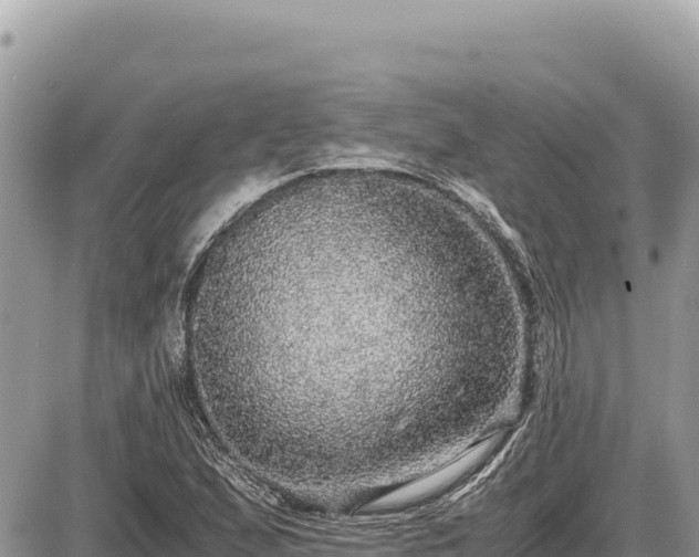 X0000087561167200705041345