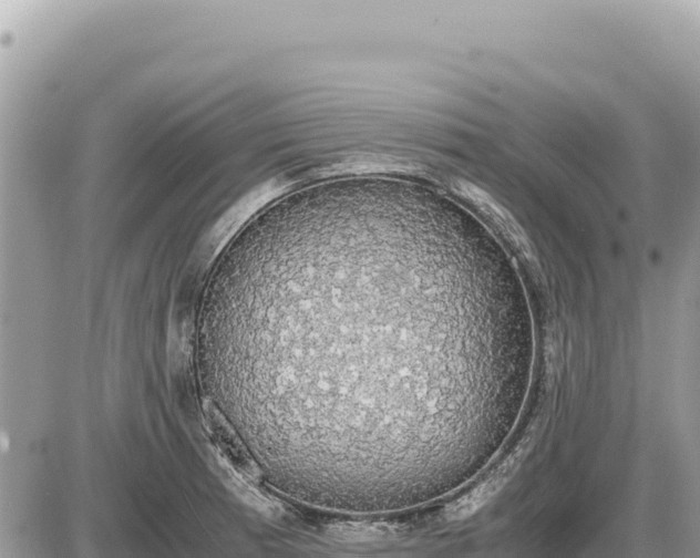 X0000087561185200705041345