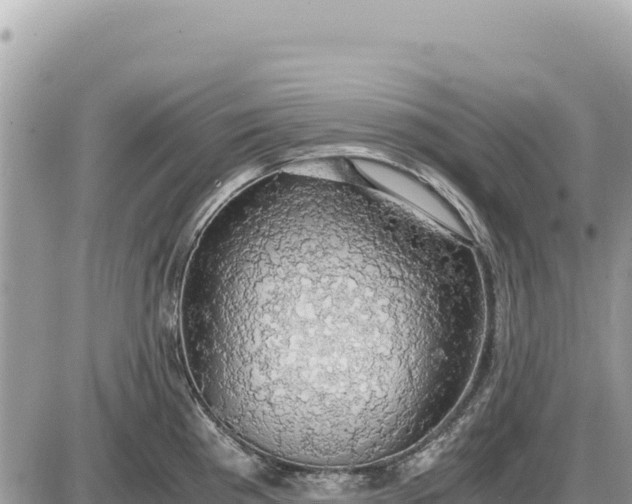 X0000087561193200705041345