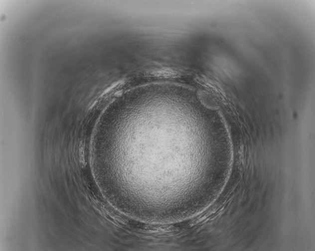 X0000087561205200705041344