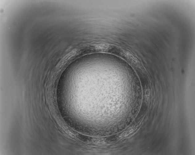 X0000087561249200705041344