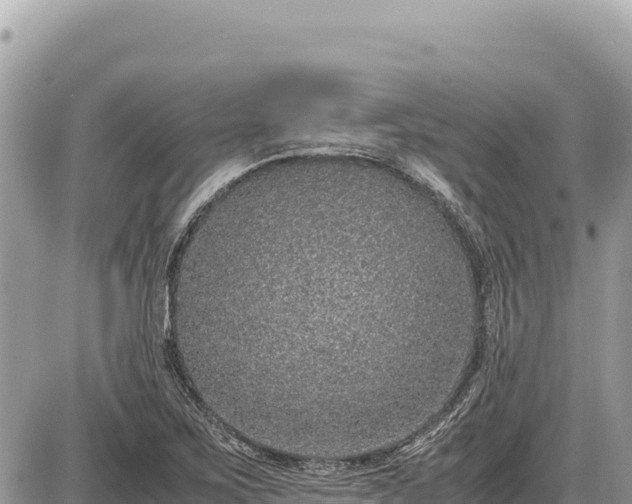 X0000087561267200705041344