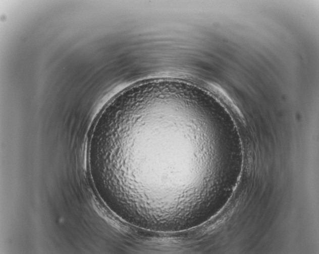 X0000087561276200705041344