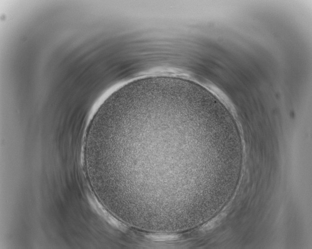 X0000087561296200705041343