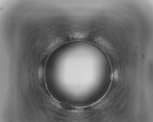X0000087561299200705041343