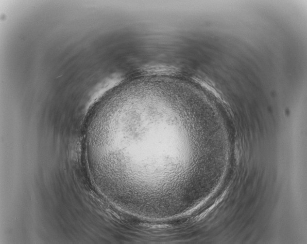 X0000087561309200705041343