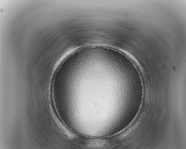 X0000087561333200705041343
