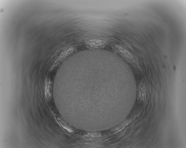 X0000087561346200705041343